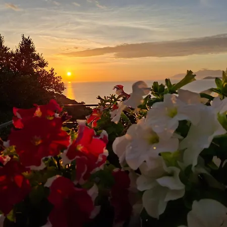 Apartment Amar Seaside *